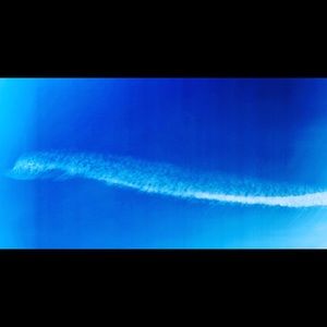 Meet your Posher, Allegra